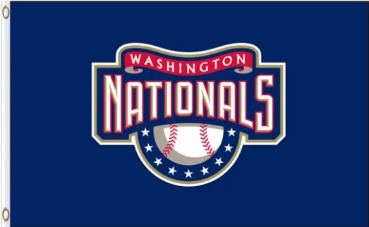 Washington Nationals Team Flag 3X5Ft Banner USA Polyester with Brass Grommets
