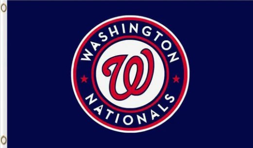 Washington Nationals US Blue Flag 3X5Ft Banner USA Polyester with Brass Grommets