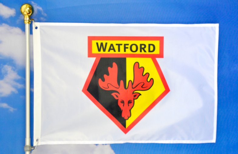 Watford F.C. Football Club Flag 3x5ft Banner Polyester White